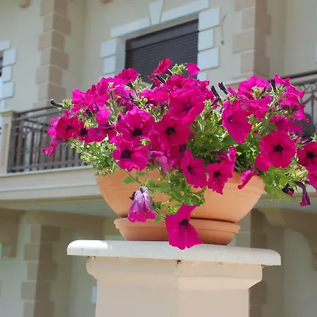 Elxis Luxury Vrasná